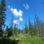 In Near Amade Filzmoos
