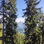 In Near Amade Filzmoos