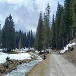 In Near Amade