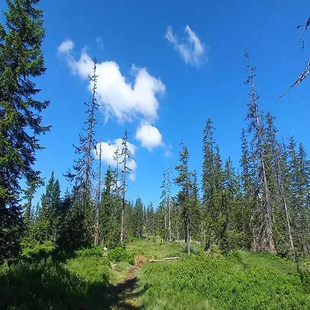 In Near Amade Filzmoos